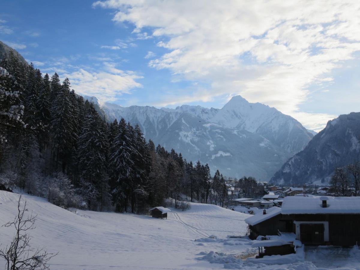 Apartment Hanser By Interhome Ramsau im Zillertal Eksteriør billede